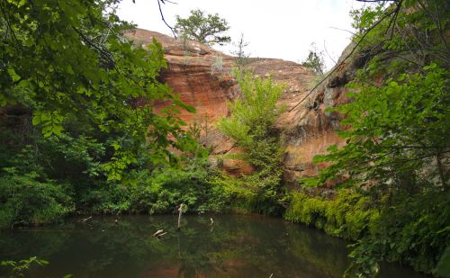 A serene pond surrounded by lush greenery and rocky cliffs, reflecting the natural beauty of the landscape.