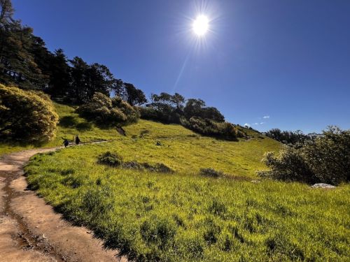A sunny landscape with a clear blue sky, green hills, and a walking path, featuring a few people in the distance.