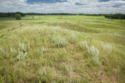 A wide, grassy landscape with rolling hills under a partly cloudy sky, featuring patches of green vegetation.