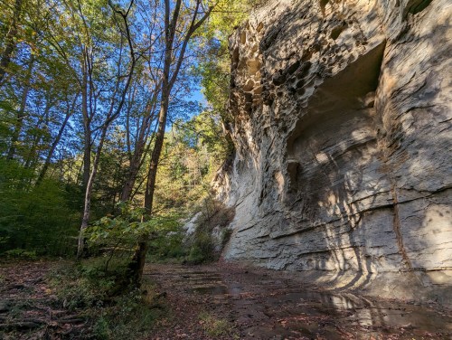 A rocky cliff surrounded by trees, with sunlight filtering through the foliage in a serene forest setting.