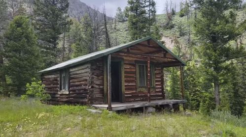 A rustic log cabin surrounded by lush greenery and mountains, with a porch and a sloped roof.