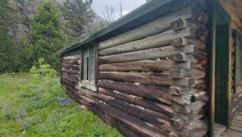 A rustic log cabin nestled in a green landscape, surrounded by trees and mountains under a cloudy sky.