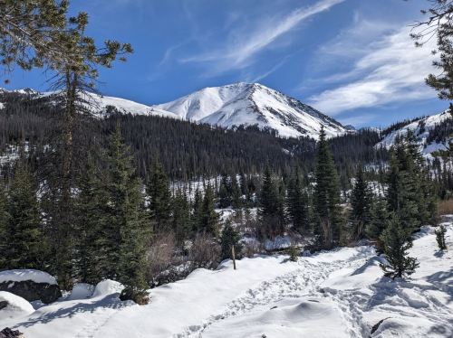 Snow-covered mountain landscape with evergreen trees and a clear blue sky. Footprints lead through the snow.
