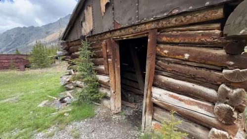 An old, weathered log cabin with a partially open door, surrounded by grass and trees, set against a mountainous backdrop.