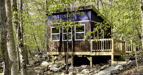 A small, modern cabin with purple accents, nestled among trees and rocks in a lush forest setting.
