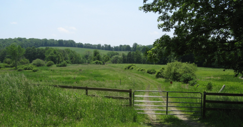 A scenic view of a grassy field with a dirt path leading through a gate, surrounded by trees and rolling hills.