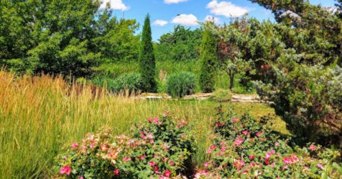 A vibrant garden scene with colorful flowers, tall grasses, and lush greenery under a blue sky with fluffy clouds.