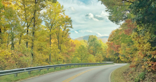 Curving road surrounded by vibrant autumn foliage and distant mountains under a partly cloudy sky.