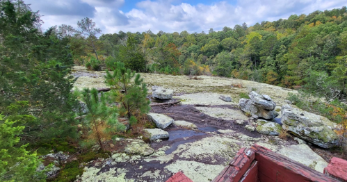 A rocky landscape with moss-covered stones, surrounded by trees and a cloudy sky in the background.