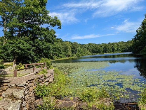 A serene lake surrounded by lush greenery and trees, with a clear blue sky reflecting on the water's surface.