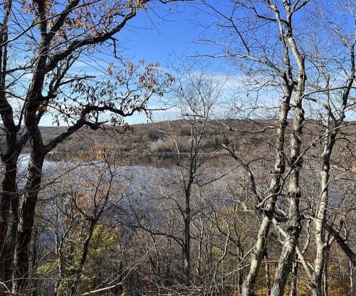 A serene view of a lake surrounded by bare trees and rolling hills under a clear blue sky.