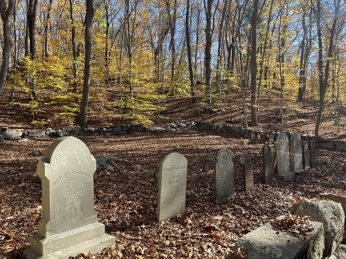 A serene graveyard in a forest, surrounded by autumn leaves and trees with colorful foliage.