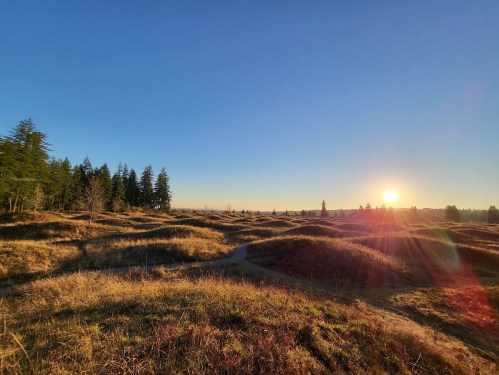 Sunrise over rolling hills and grassy mounds, with trees in the background and a clear blue sky.