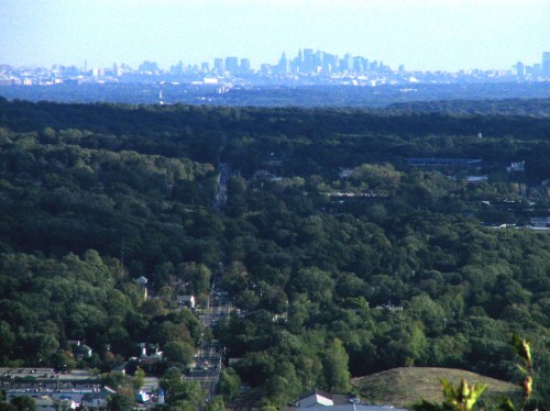 A panoramic view of a lush green landscape with a distant city skyline on the horizon.