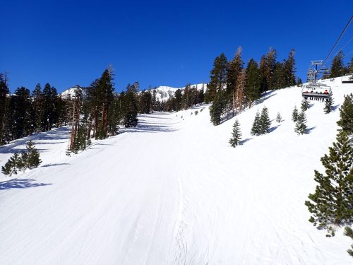 A snowy ski slope surrounded by evergreen trees under a clear blue sky, with a ski lift in the background.