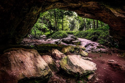 A rocky cave entrance opens to a lush, green forest with trees and a winding path visible in the background.
