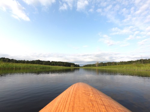 A wooden canoe bow on calm water, surrounded by lush green reeds and a cloudy blue sky.