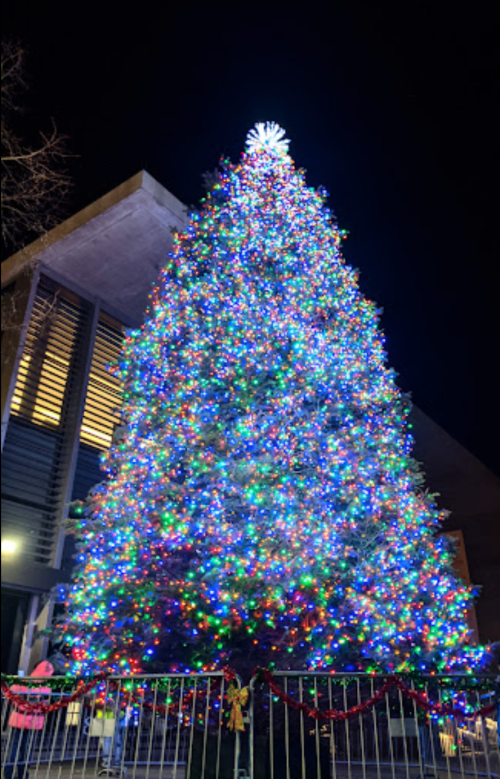A brightly lit Christmas tree adorned with colorful lights, set against a night sky and surrounded by festive decorations.