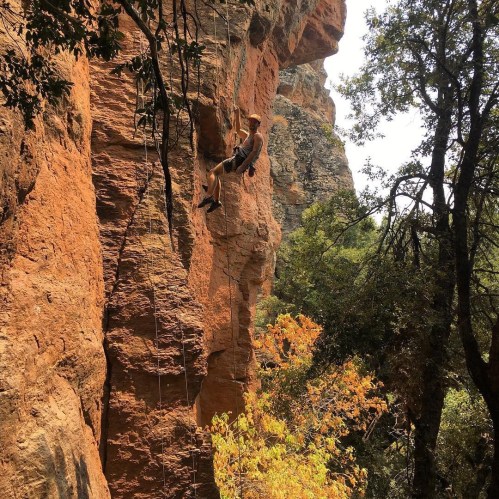 A climber ascends a rocky cliff surrounded by trees and autumn foliage in a sunny outdoor setting.
