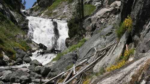 A cascading waterfall flows over rocky terrain, surrounded by green grass and yellow wildflowers.