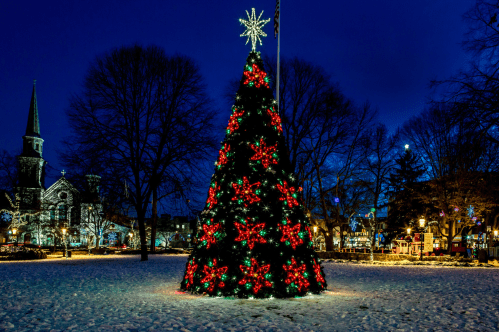 A beautifully lit Christmas tree adorned with red flowers and a star on top, set against a snowy evening backdrop.
