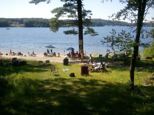 A sunny beach scene with people relaxing under umbrellas by the water, surrounded by trees and grassy areas.
