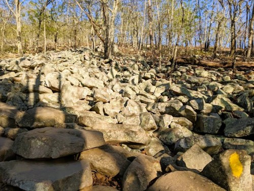 A rocky hillside covered with large stones, surrounded by trees and a clear blue sky.
