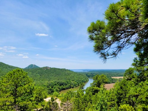 A scenic view of a river winding through lush green hills under a clear blue sky, framed by pine trees.