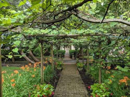 A lush garden path lined with vibrant flowers, shaded by a trellis of greenery leading to a white building.