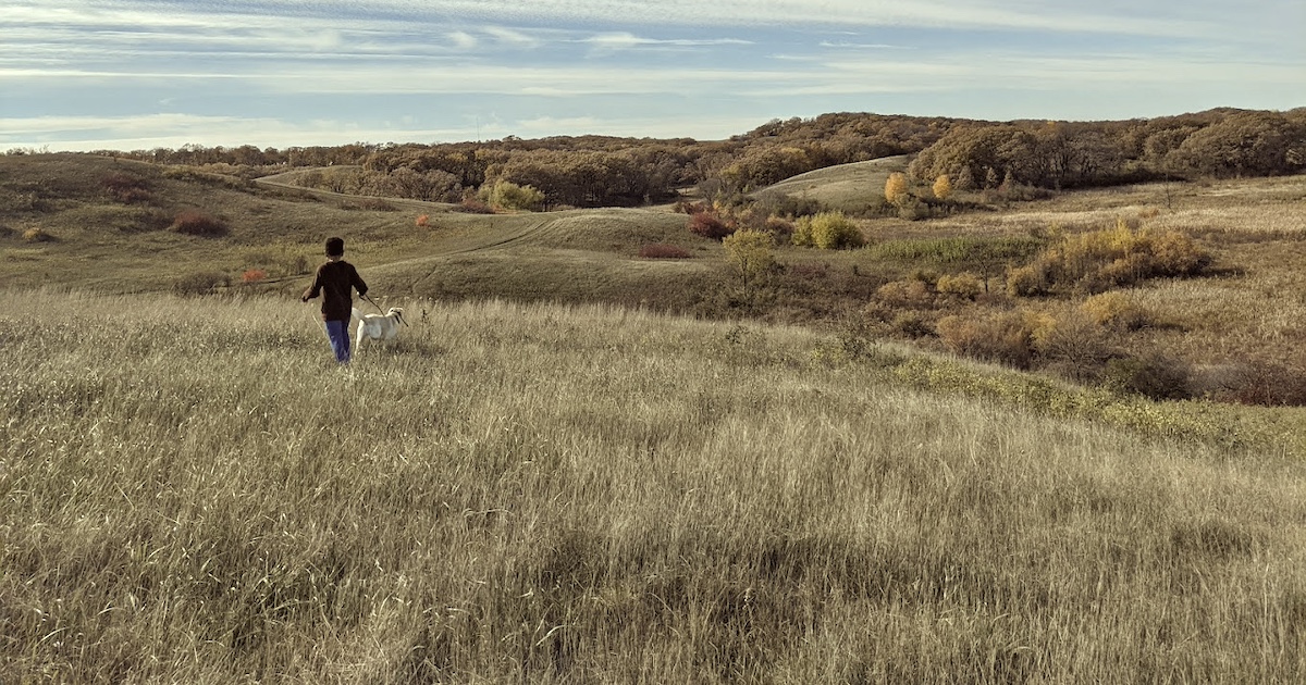 The Stunning Landscape In Minnesota That Appears As Though It Was ...
