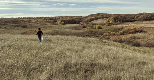 A person walks a dog through a grassy field, surrounded by rolling hills and autumn-colored trees.