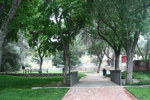 A serene park pathway surrounded by lush trees, leading to an open grassy area.