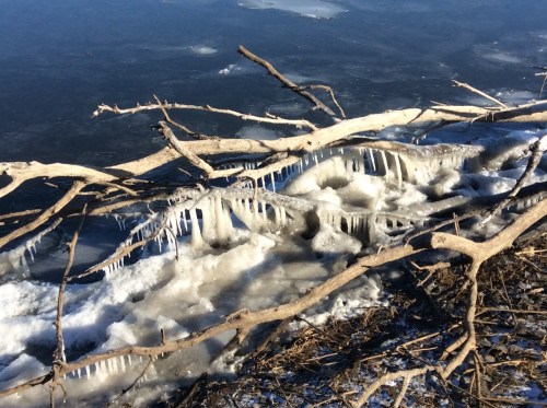Icicles hang from a frozen shoreline, with branches and ice creating a wintry landscape by the water's edge.