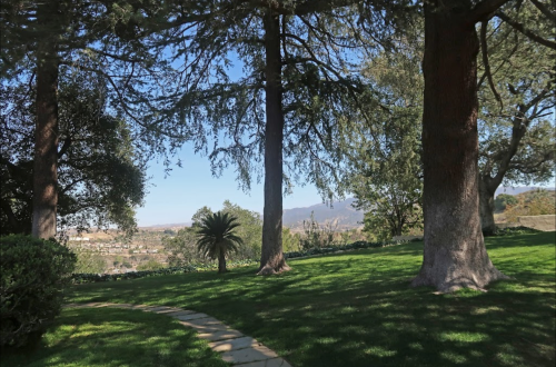 A serene landscape featuring tall trees, lush green grass, and a distant view of mountains under a clear blue sky.