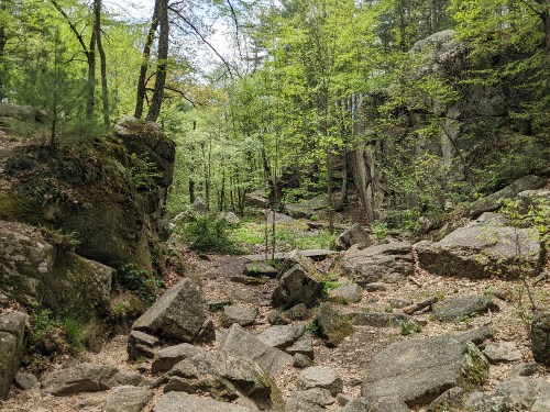 A rocky forest path surrounded by lush green trees and boulders, creating a serene natural landscape.