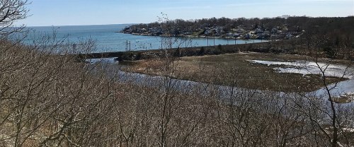 A serene coastal view featuring a calm bay, marshland, and distant houses along the shoreline under a clear blue sky.
