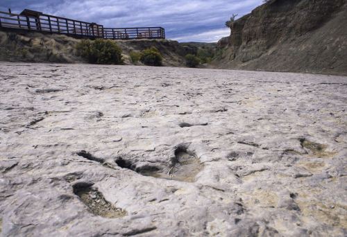 Fossilized footprints on a rocky surface, with a wooden walkway and cloudy sky in the background.