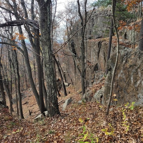 A rocky hillside surrounded by bare trees and fallen leaves, showcasing autumn colors in a forested area.