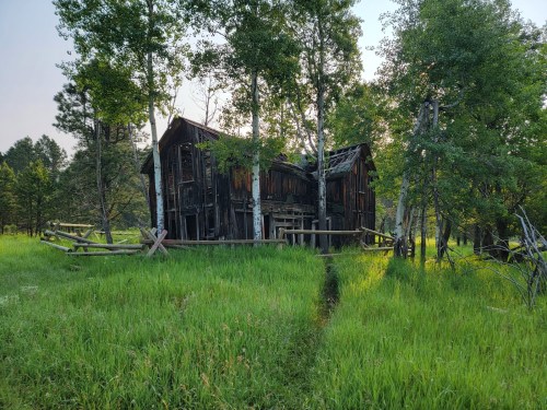 An old, weathered barn surrounded by tall grass and trees, with a rustic wooden fence in a serene landscape.