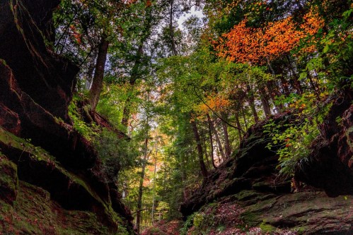 A narrow canyon surrounded by tall trees, showcasing vibrant autumn foliage against a clear sky.