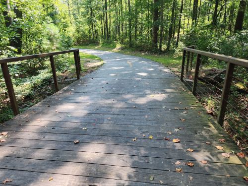 A wooden path winding through a lush green forest, surrounded by trees and scattered leaves.