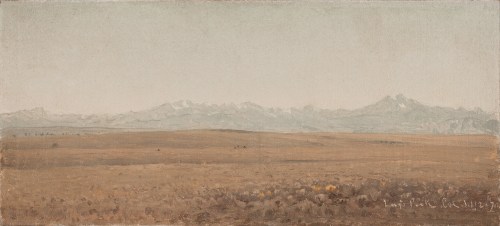 A serene landscape featuring distant mountains and a vast, open field under a pale sky.