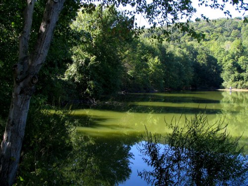 A serene lake surrounded by lush green trees, reflecting the foliage on a sunny day.