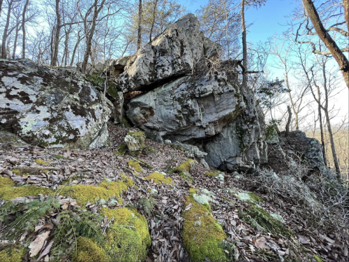A rocky outcrop covered in moss and surrounded by bare trees under a clear blue sky.