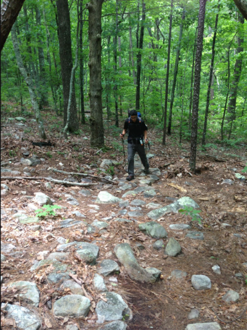 A hiker navigates a rocky trail in a lush green forest, surrounded by trees and foliage.