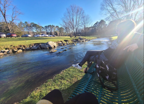 A person sits on a bench by a stream in a park, with trees and cars in the background under a clear blue sky.
