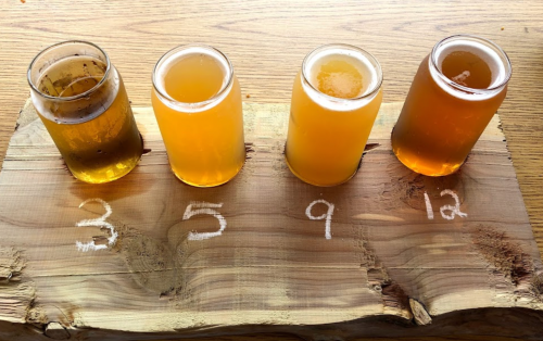 Four glasses of beer on a wooden board, labeled with numbers 3, 5, 9, and 12, arranged in a row.