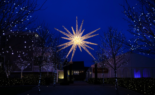 A large star-shaped light hangs above a pathway lined with illuminated trees, set against a dark blue evening sky.