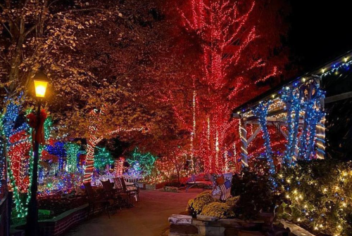 A festive pathway illuminated with colorful holiday lights on trees and buildings, creating a cheerful atmosphere.