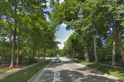 A tree-lined street with a car driving down the center, under a clear blue sky.